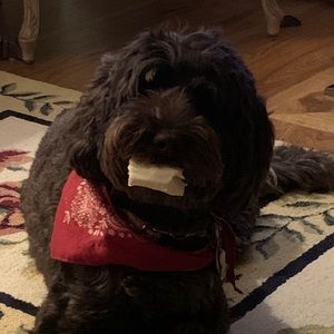 Meet your Posher, Todd